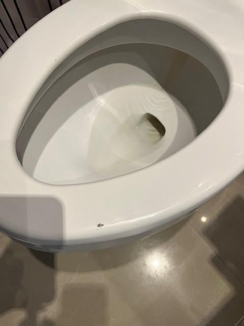 Dirty and chipped toilet