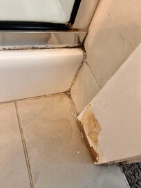 Mold in master bathroom