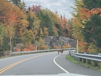 SEPAQ Parc de la Mauricie à 30 minutes de l’hébergement