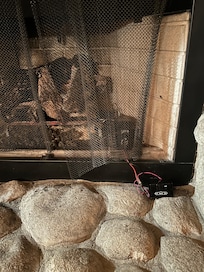 Receiver box and wires hanging out of fireplace