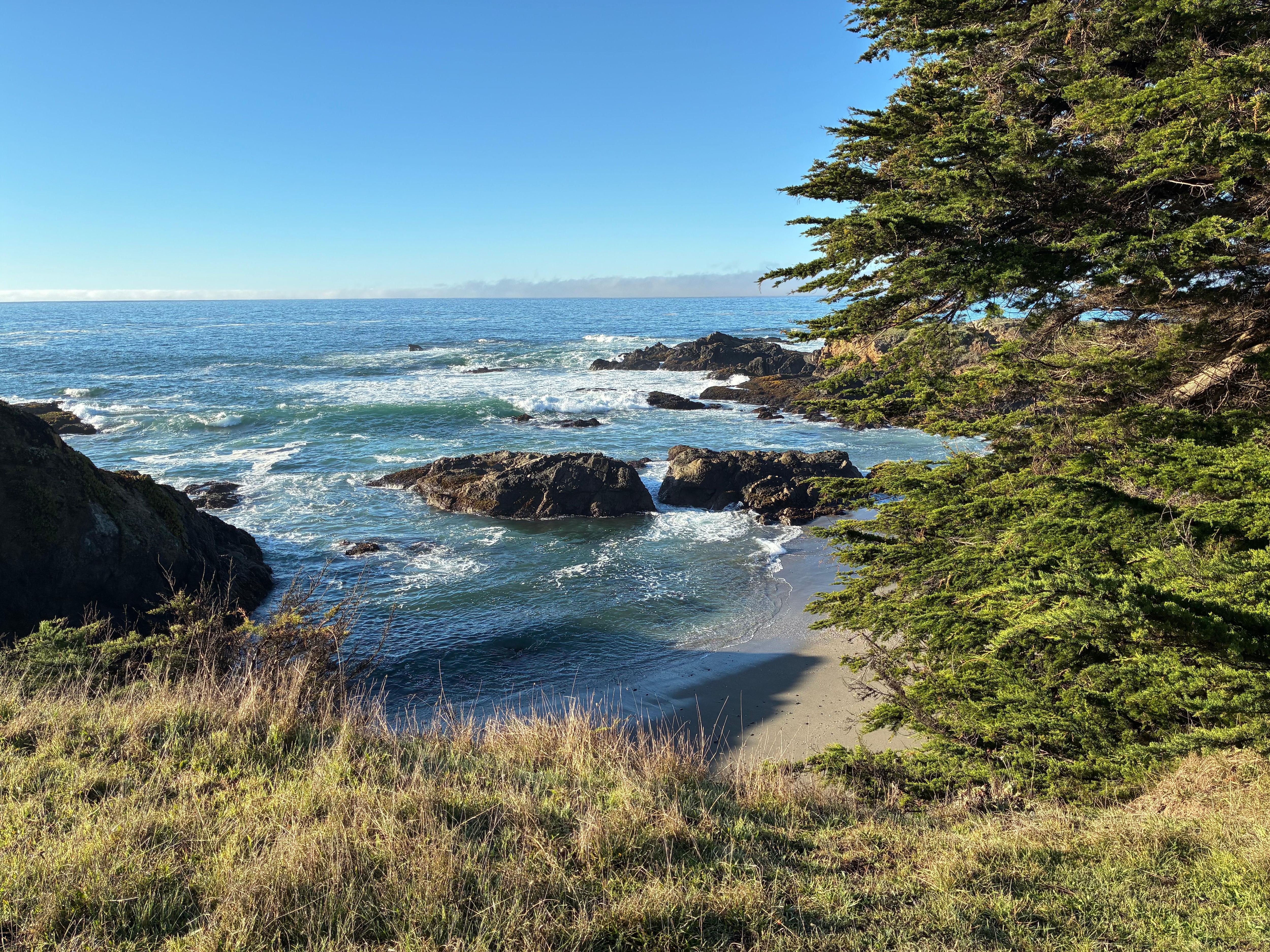 Nearby on bluff trail