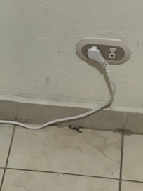 Scorpion we found by the door