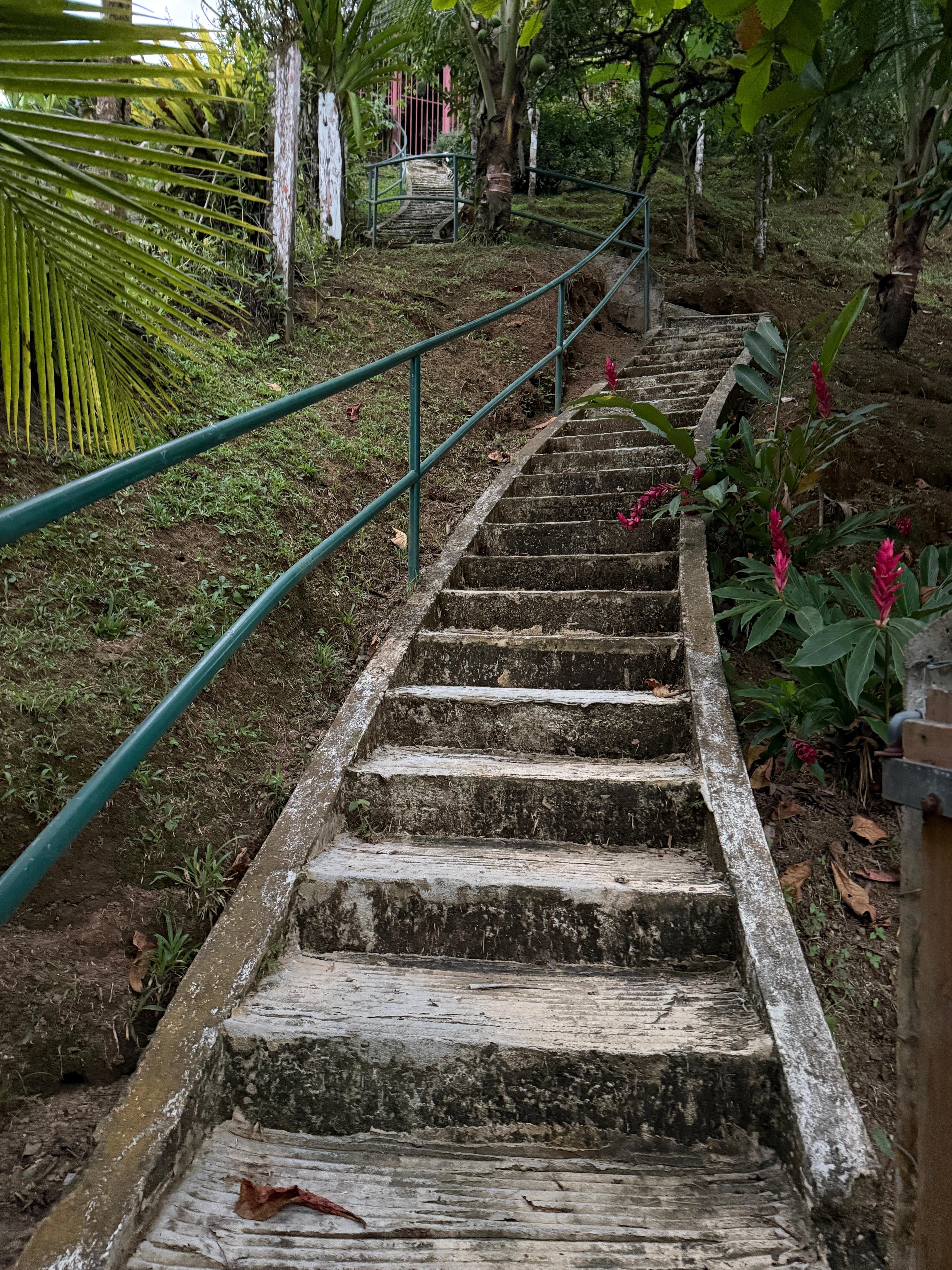 Stairs to the beach