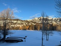 View out the back door.