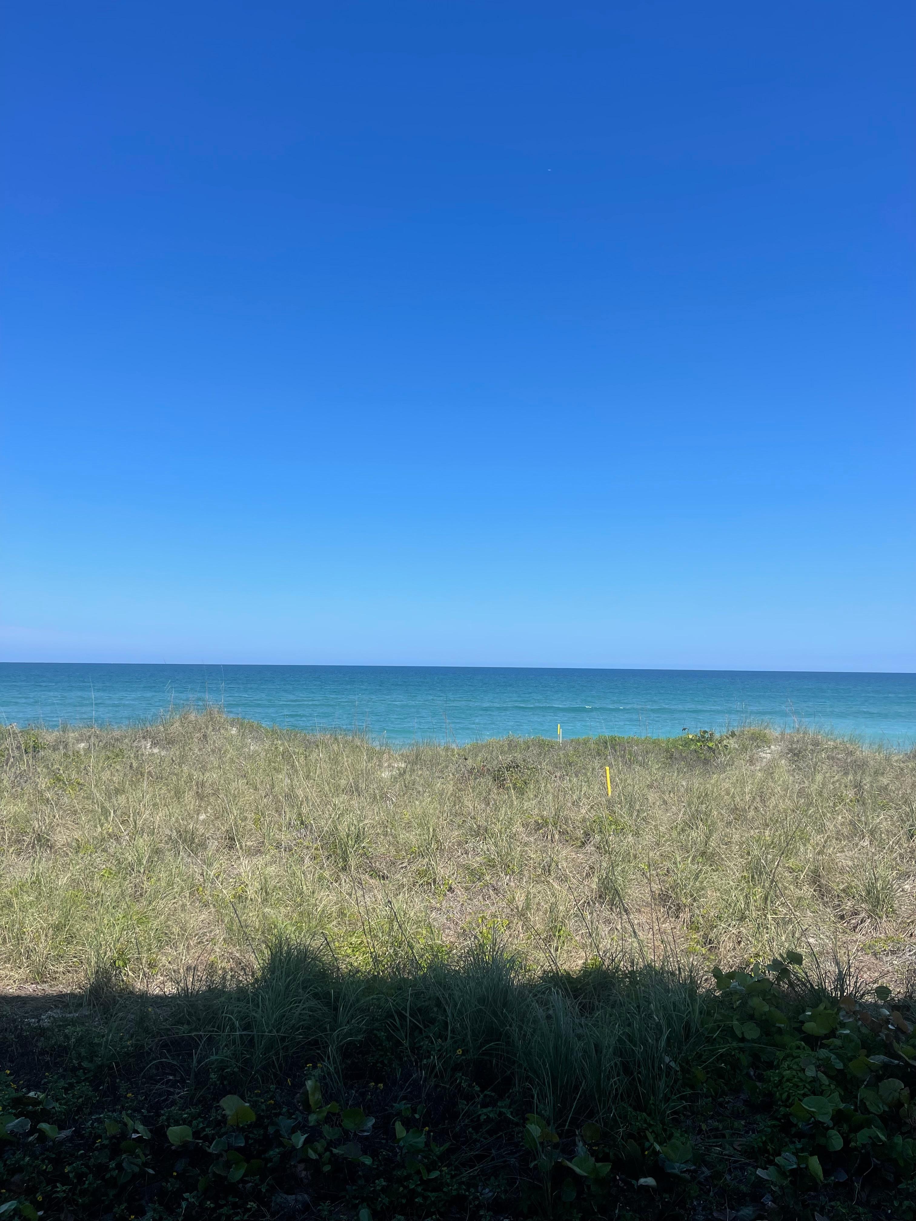 The view from the unit.