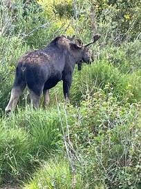 At Sprague Lake in RMNP.
