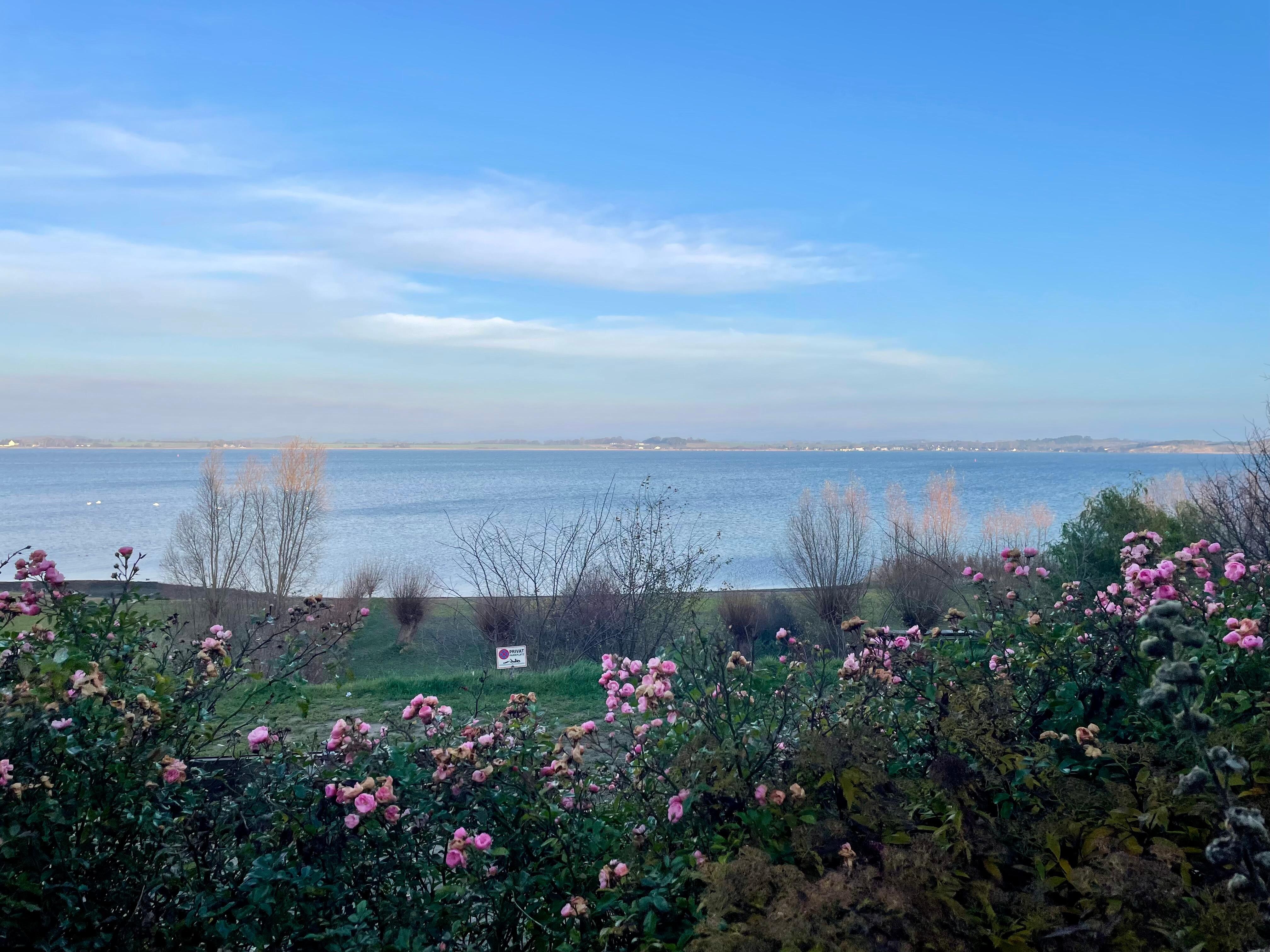Ausblick aus der Haustür