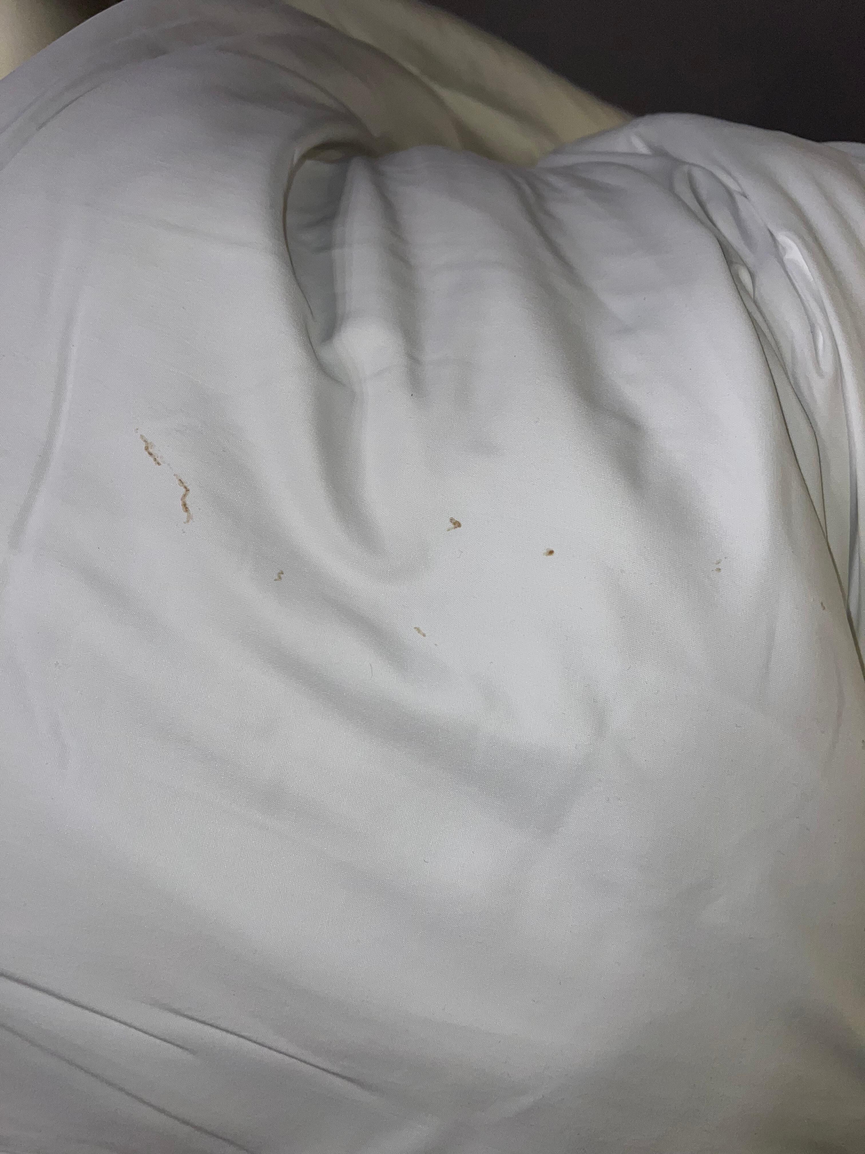 Some type of staining I am assuming from the cookie crumbs which seemed to be chocolate.