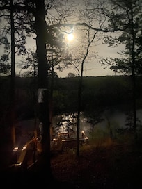 So many beautiful dogwoods in front of the cabin