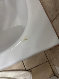 Fecal matter
Before