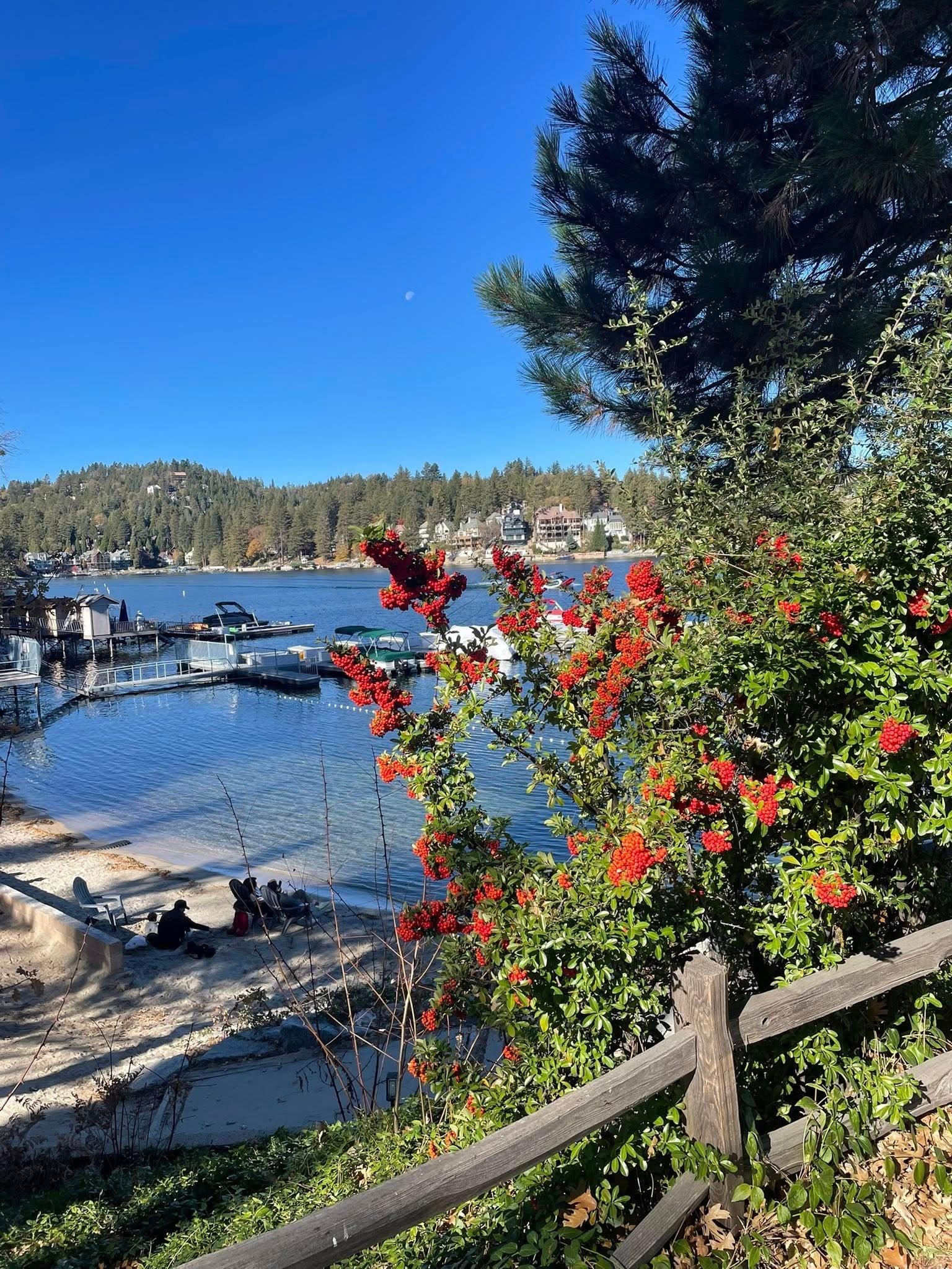 The small beach area