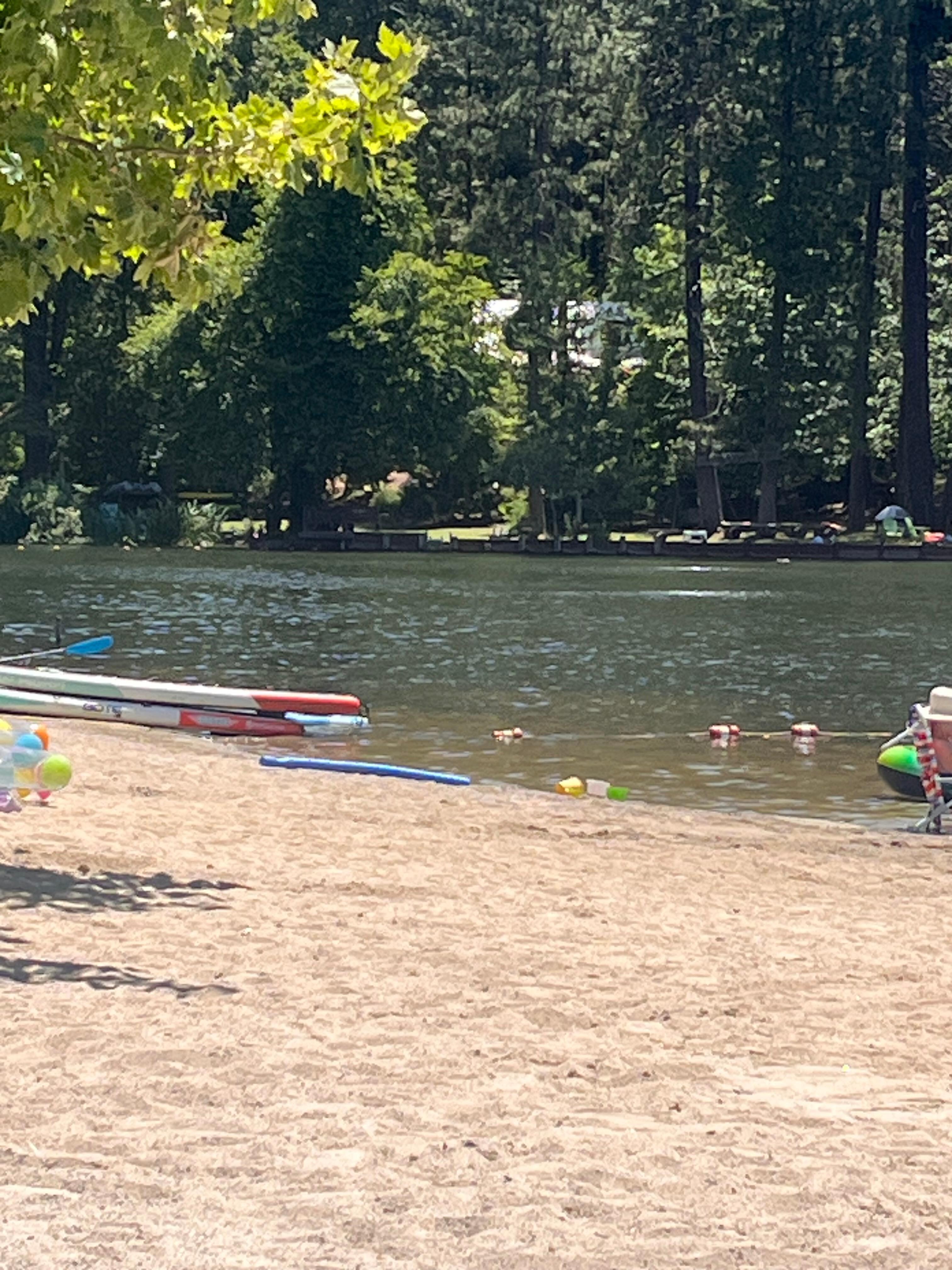 Beautiful day at the Lake