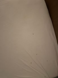 Baby bed sheet contaminated with rodent droppings