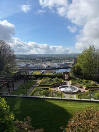 Beautiful garden