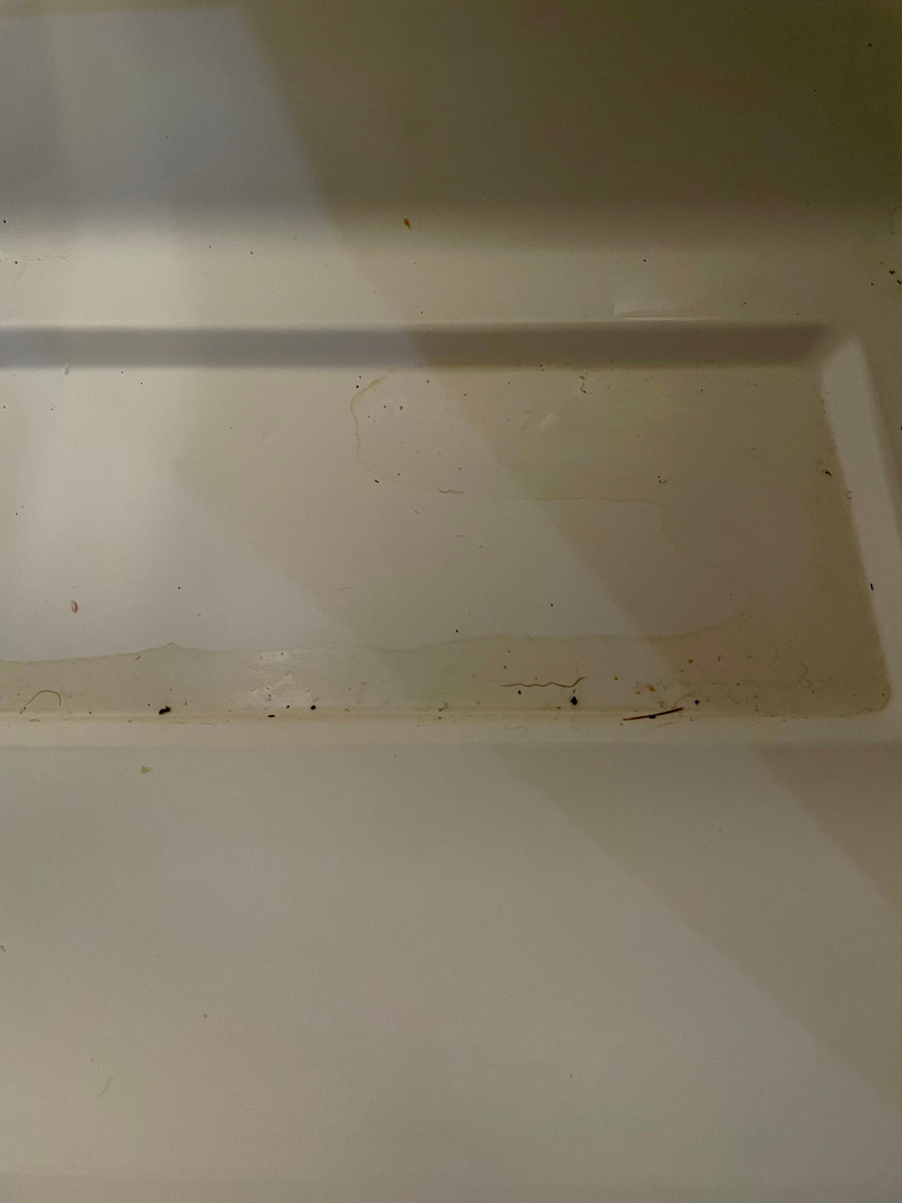 A pool of something that had leaked to the bottom of the refrigerator.