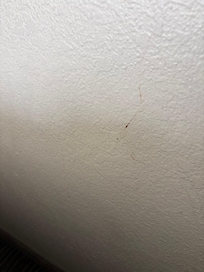 wall with dried stain/blood by bed
