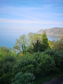 View from Bed