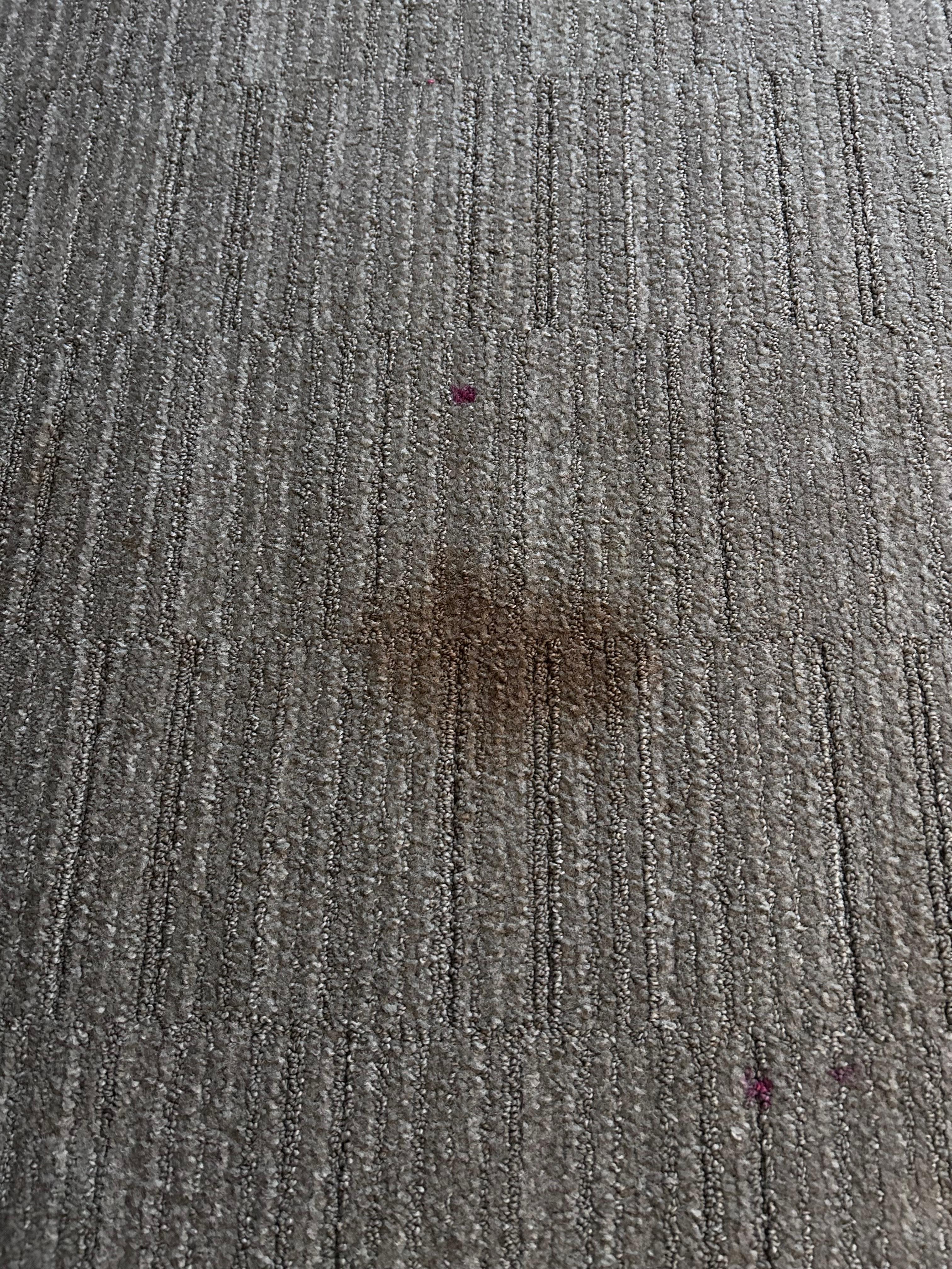 Stain on rug. In the middle of the room wasn’t very comforting. 