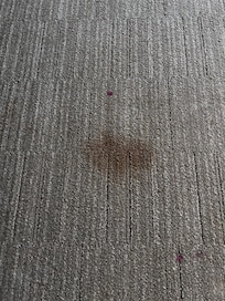 Stain on rug. In the middle of the room wasn’t very comforting.