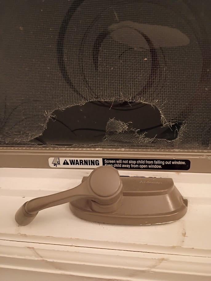 Lots of cosmetic dings and rips and holes in screens 