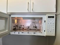 Microwave interior