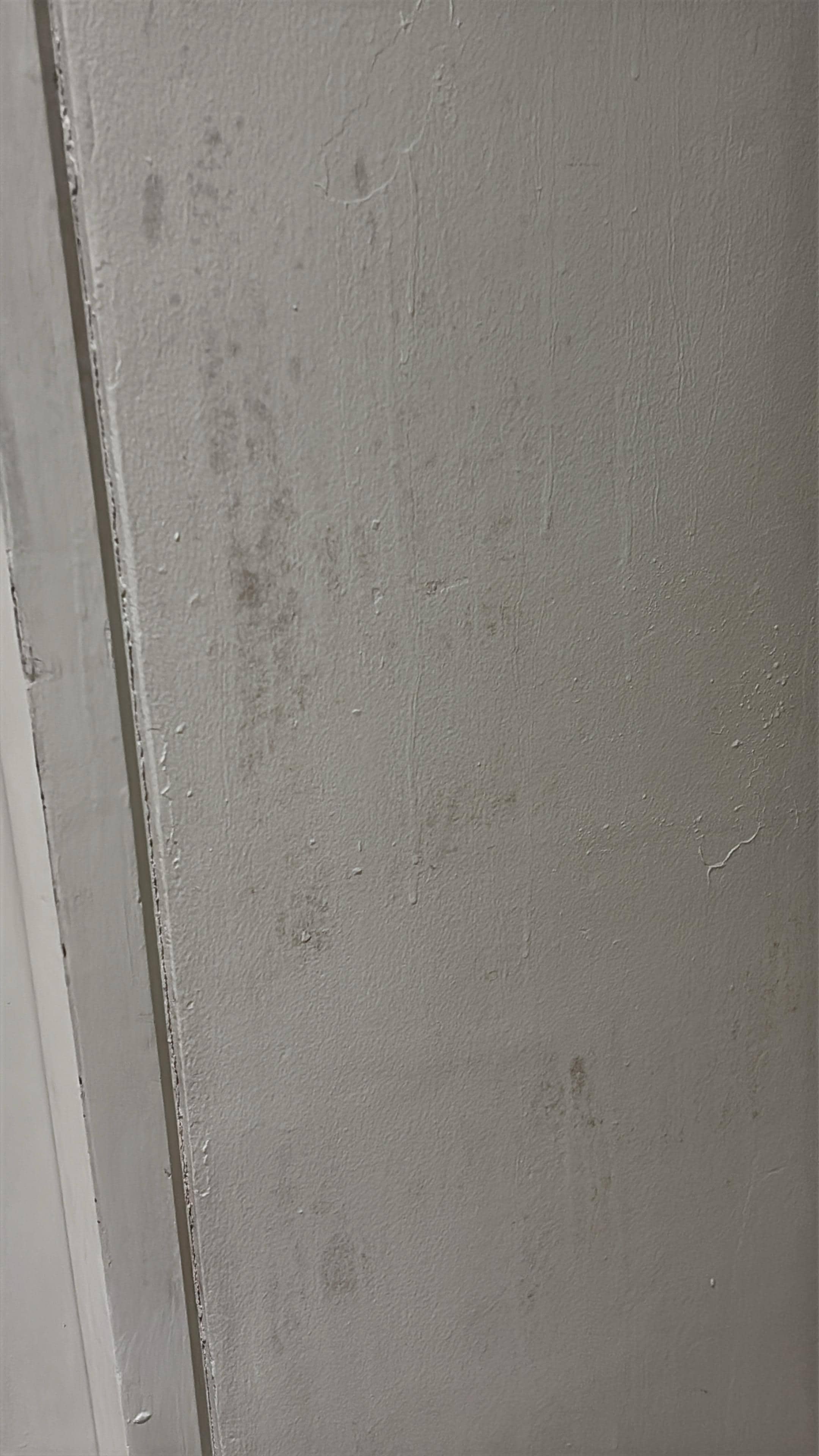 Mold on walls 