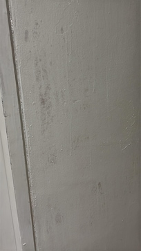 Mold on walls