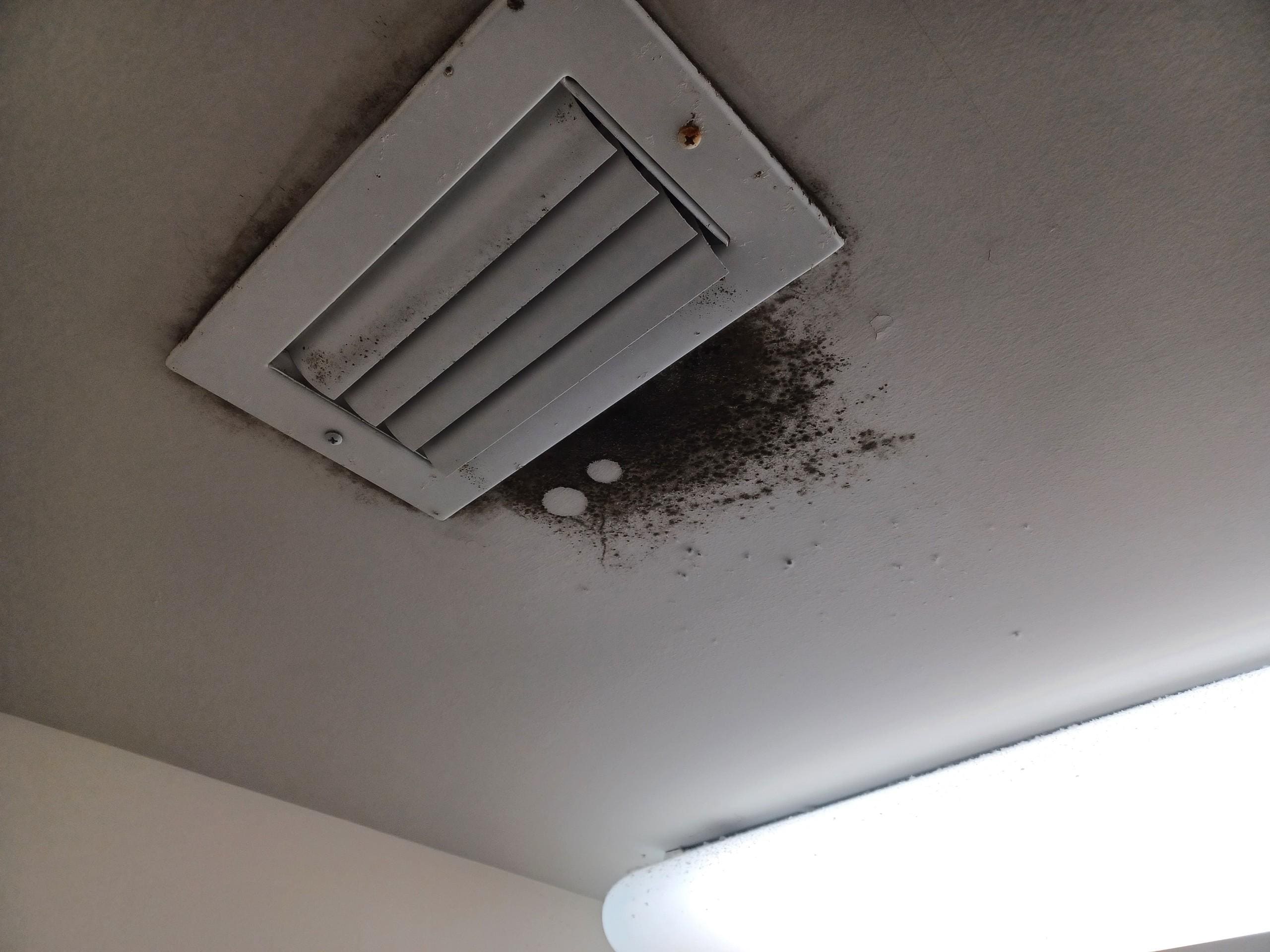 MOLD in laundry room on ceiling.