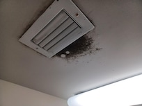 MOLD in laundry room on ceiling.