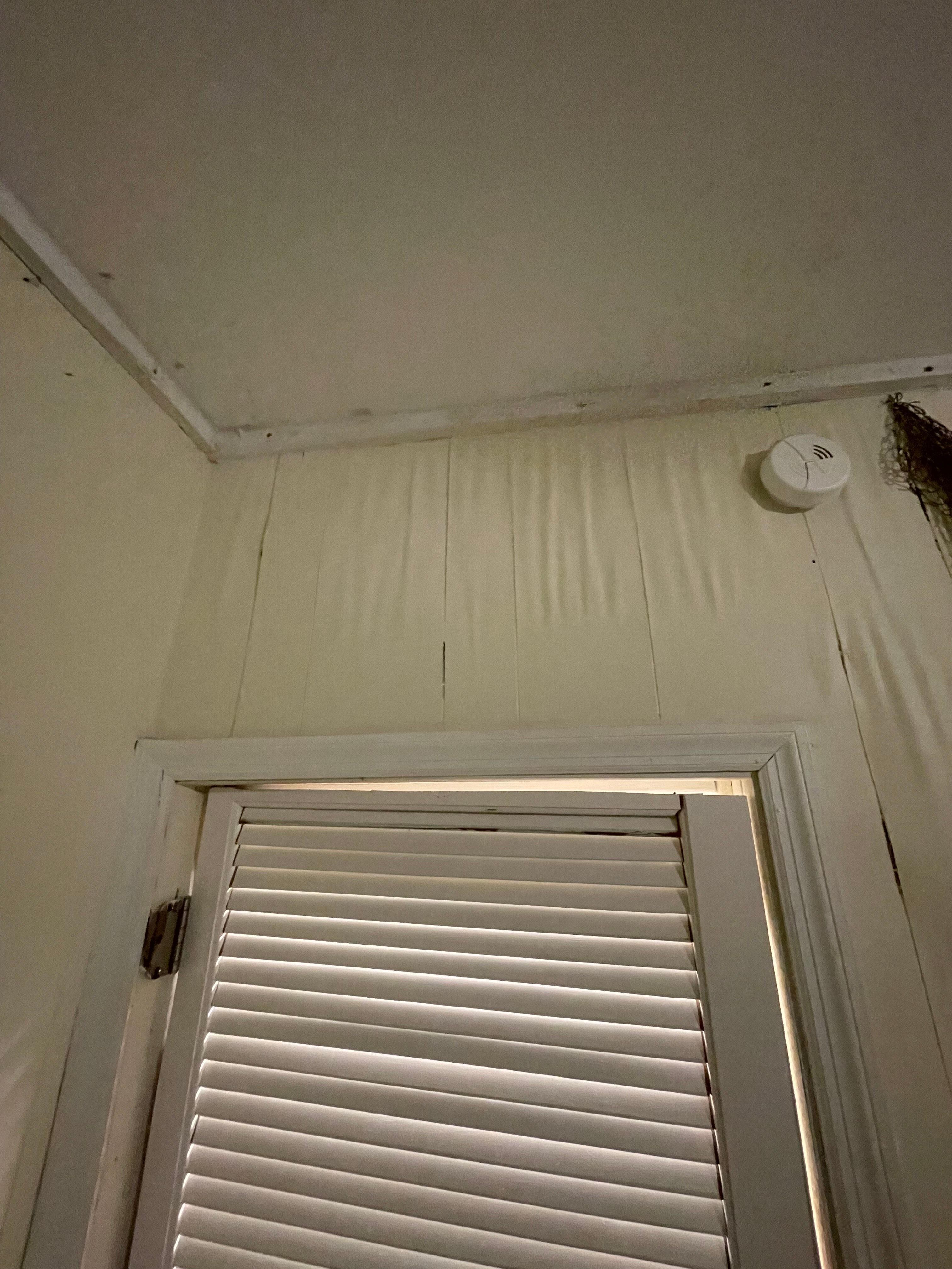 One of several walls where there is damage from water leakage.