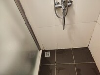 Smelly drain and bathroom mould