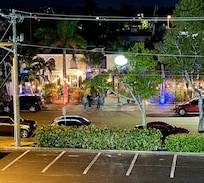 Pic from our 4th floor balcony of The Jungle Bird