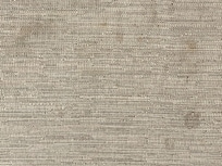 Close up of gross stains on the couch