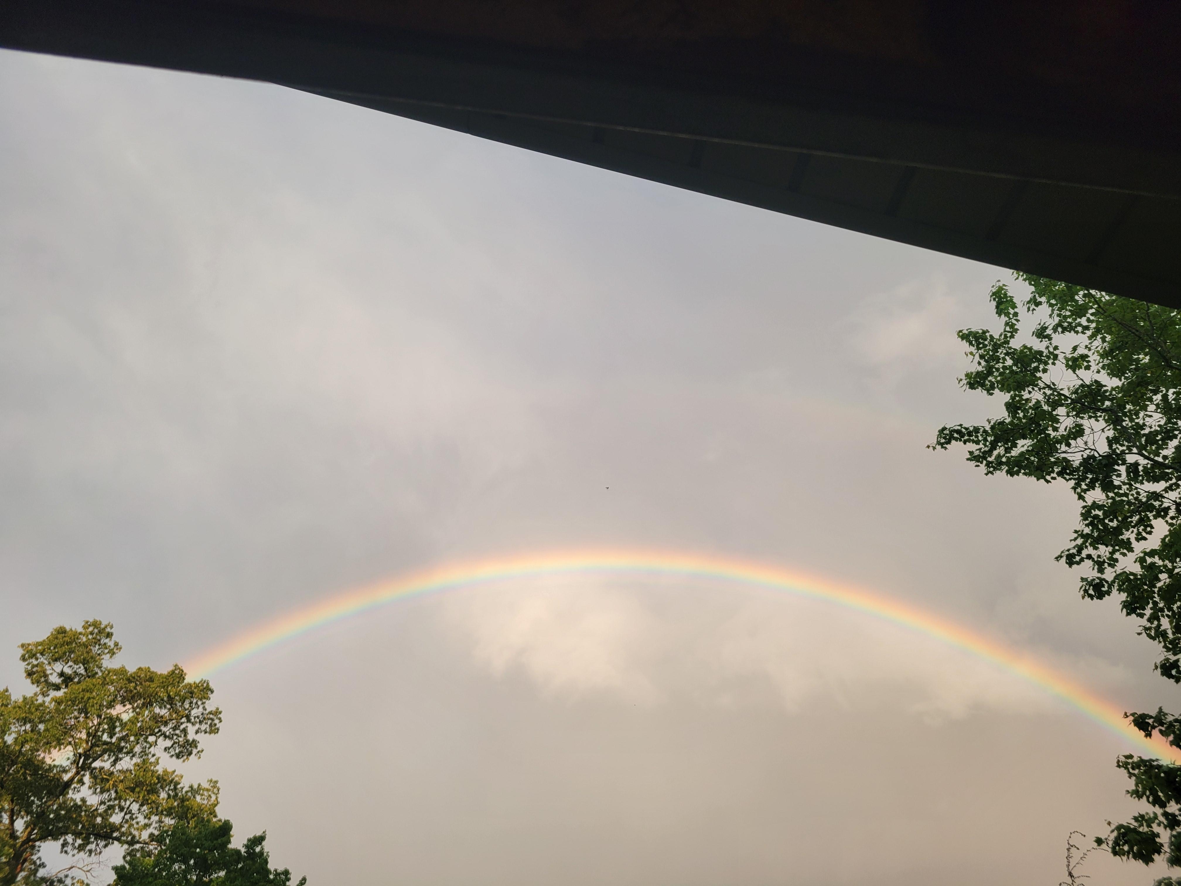 Rainbow off the back porch after rain storm.