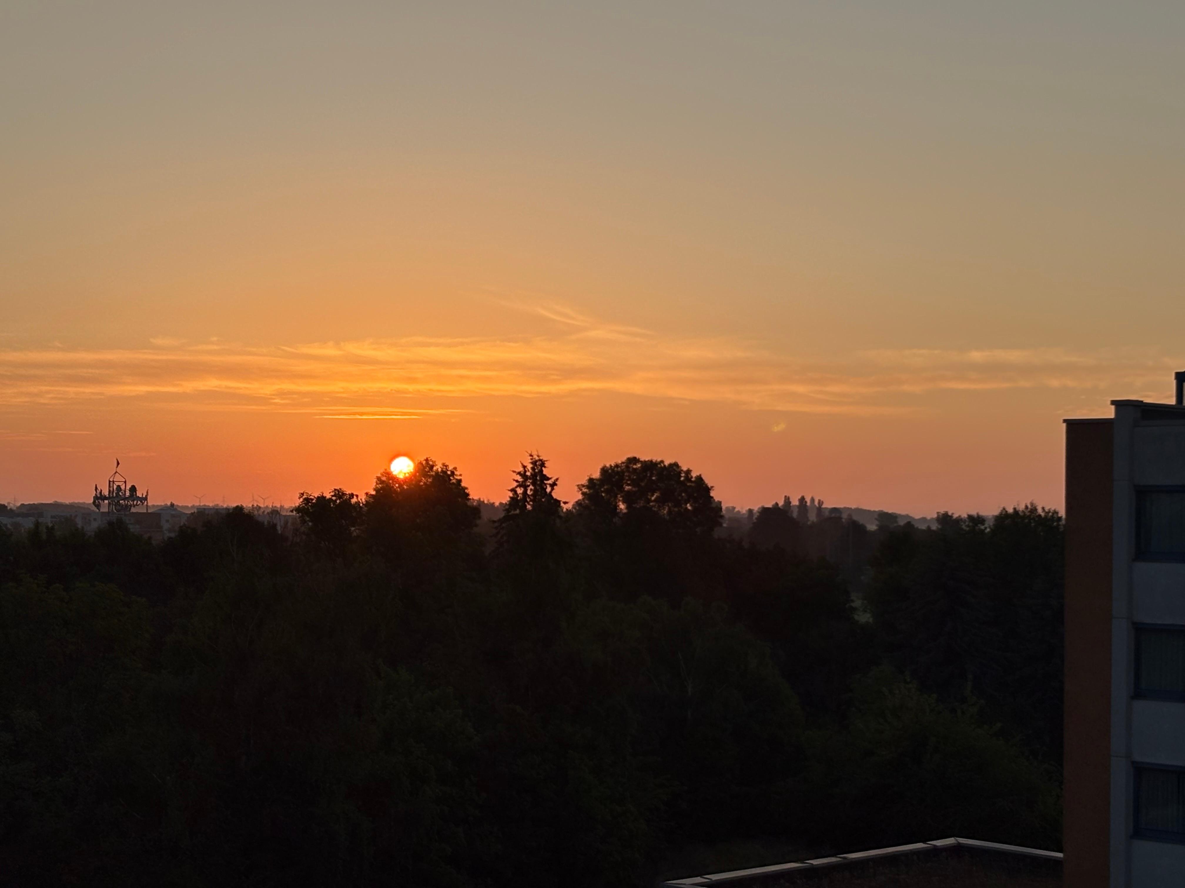 Guten Morgen Halle