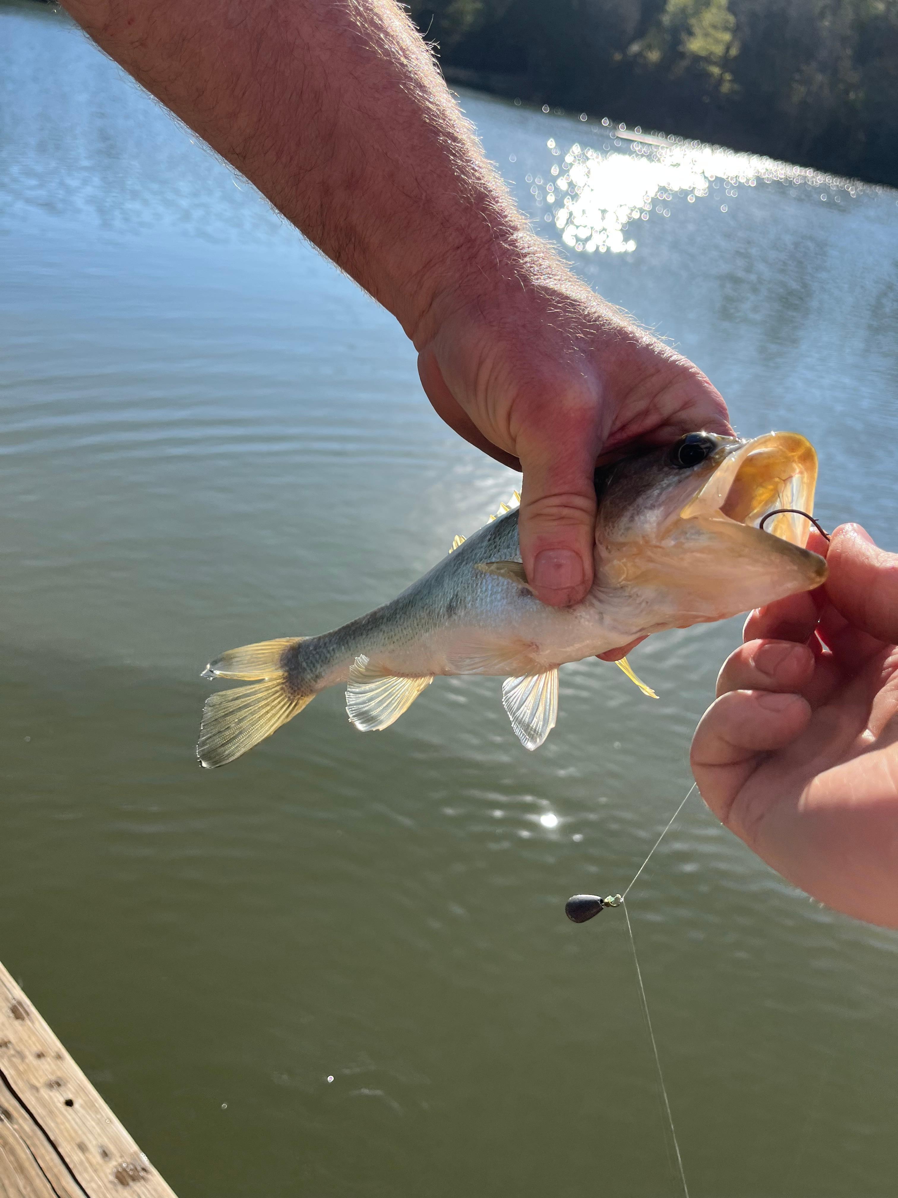 Kids enjoyed the fishing 
