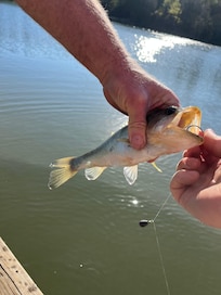 Kids enjoyed the fishing