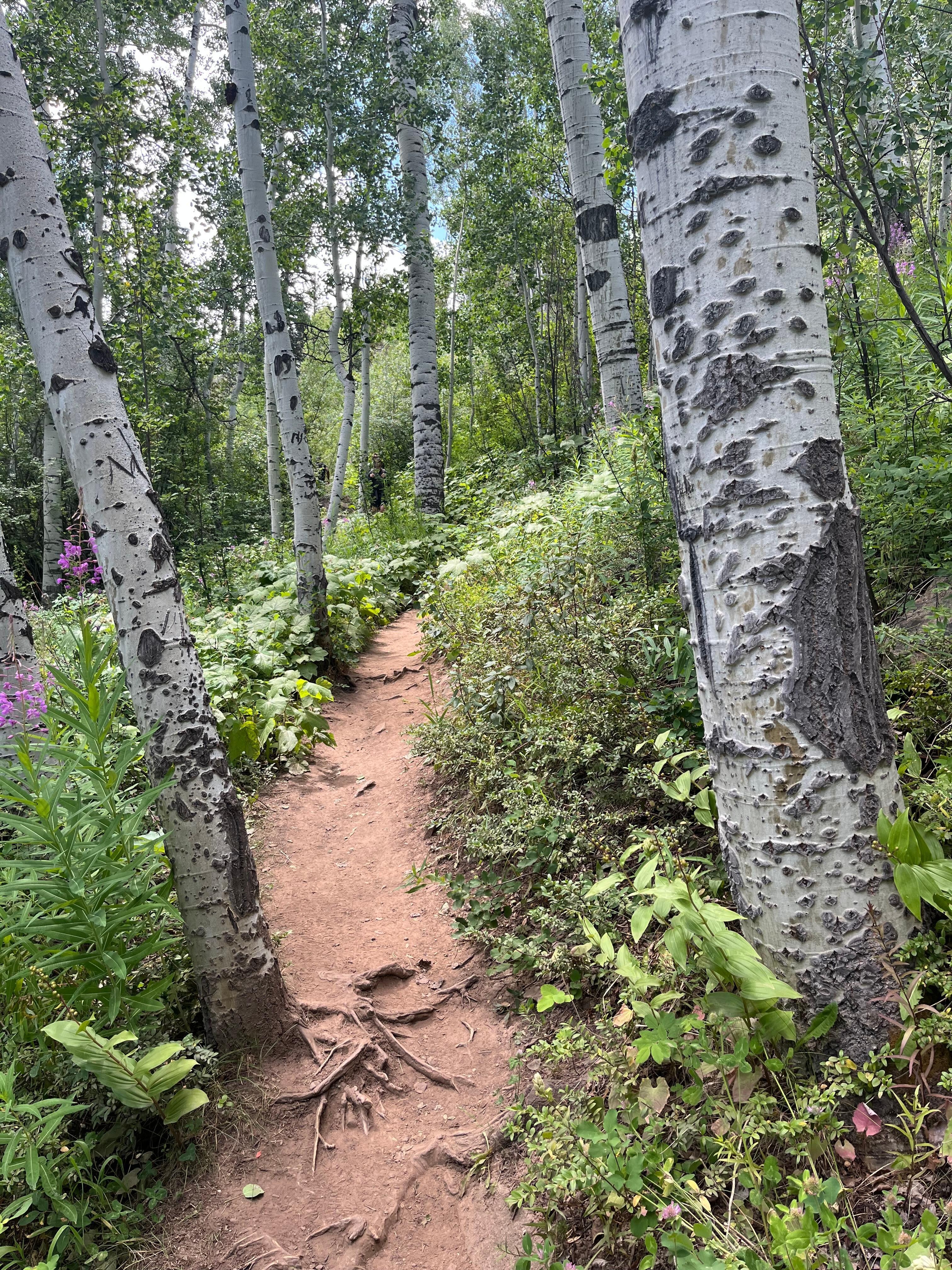 Hike right from the bottom of the ski slope.