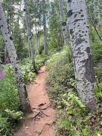 Hike right from the bottom of the ski slope.