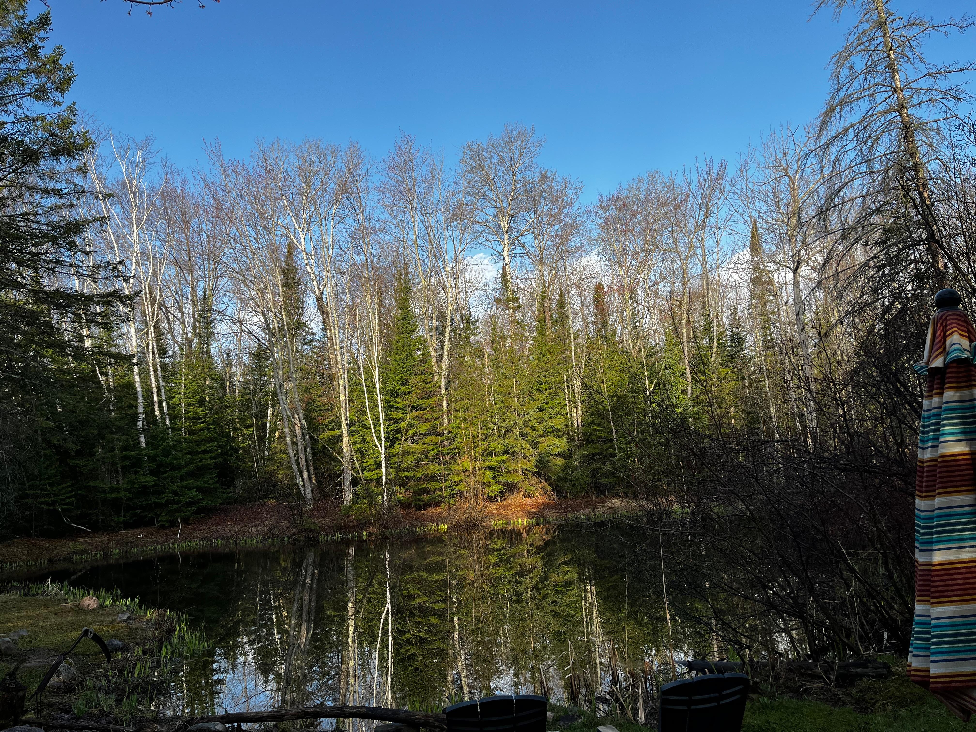 View of pond early spring 