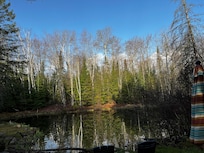 View of pond early spring