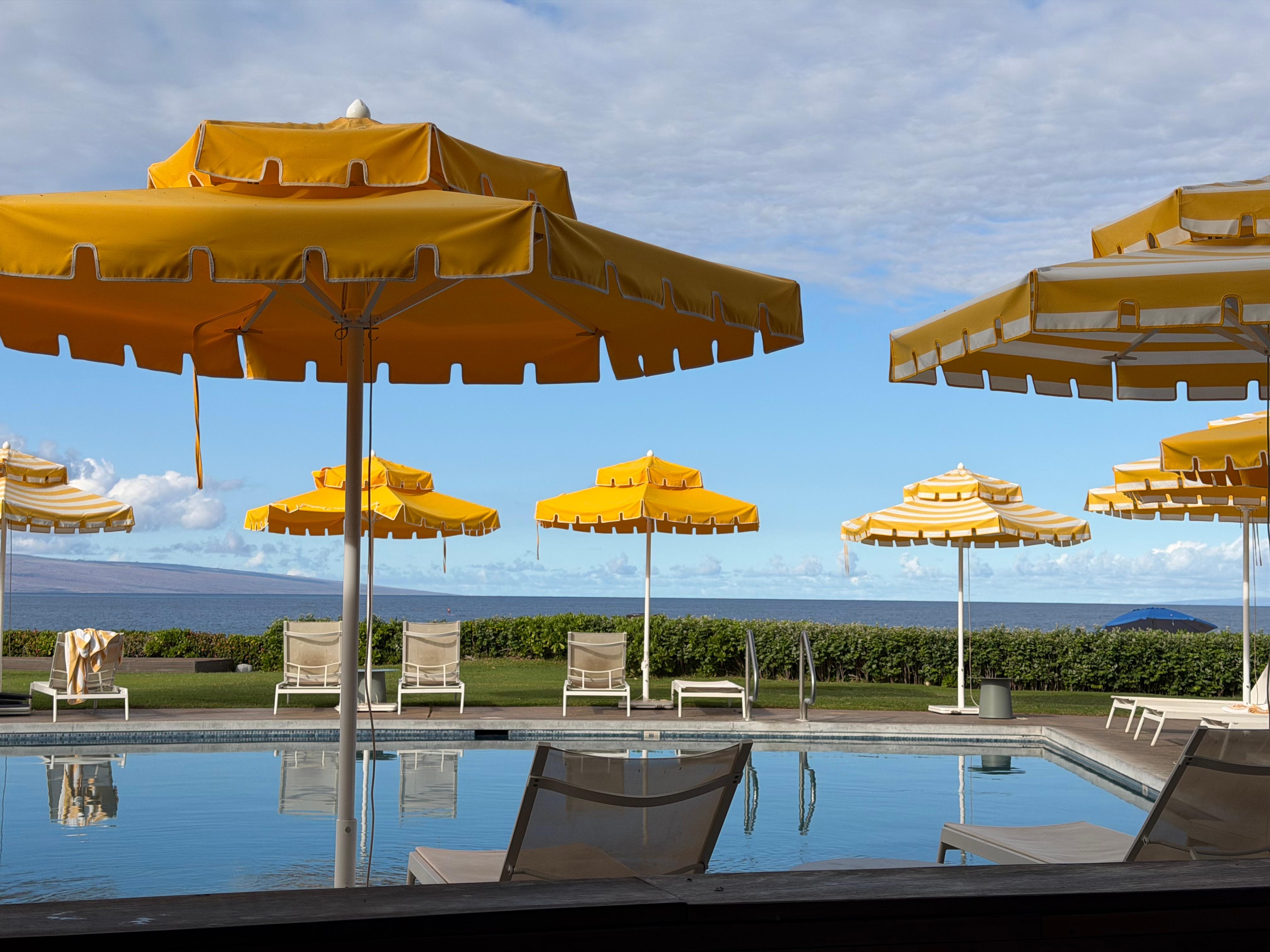 View from the restaurant 