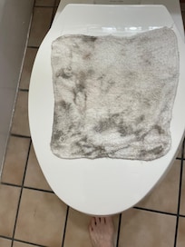 I wiped down bathroom floor and counter, door in bathroom and floor corners