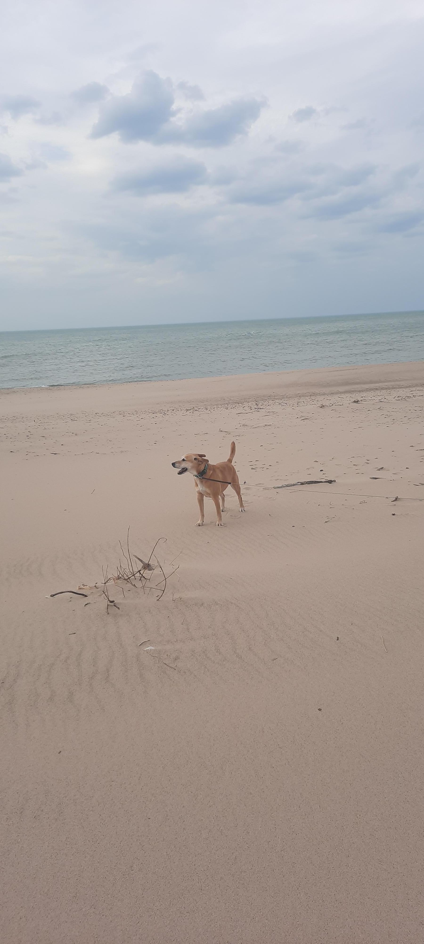 Right down the stairs