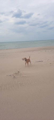 Right down the stairs