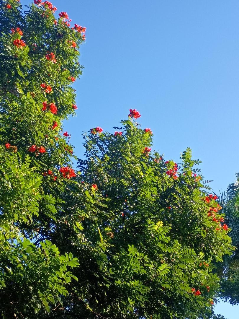 So much color and vibrancy!