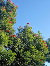 So much color and vibrancy!