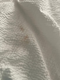 The stain on the bed cover.