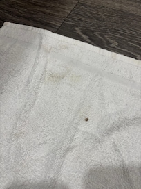 dirty towel before use
