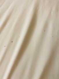 Blood stains on bed sheets when we arrived